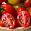 生态圣女果（广州） | 合作生产*Ecological cherry tomato | Coprodution 商品缩略图1