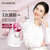 金稻 蒸脸仪器面部喷雾补水仪蒸汽机 热喷蒸脸器 加湿器香薰离子热喷面膜搭档  商品缩略图0