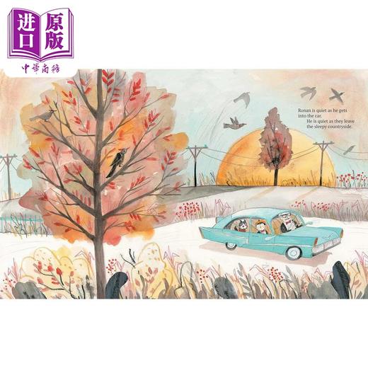 【中商原版】哇哇声的男孩 Rashin Kheiriyeh The Boy Who Said Wow英文原版 儿童绘本 图画故事书 精装精品绘本 进口童书 商品图3