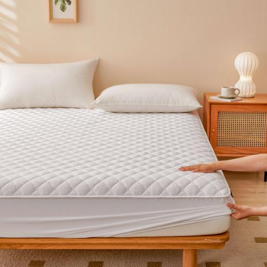 利路米秋冬季全棉加厚床笠式床护垫 商品图2