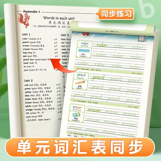 小学练字帖【英语每日30词+语文每日30字】同步课本减压练习描红本 商品图2