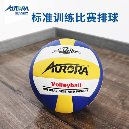 世纪曙光   羽毛球拍 排球体育用品 商品图5