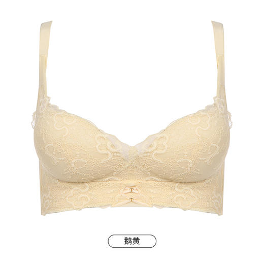 都市丽人B杯常规内衣聚拢升杯加厚蕾丝四排扣无钢圈3/4杯常规文胸YB45A2 商品图9