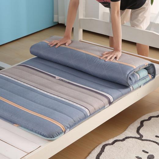 利路米超值款高弹大学生宿舍保暖床垫90*195CM 商品图2