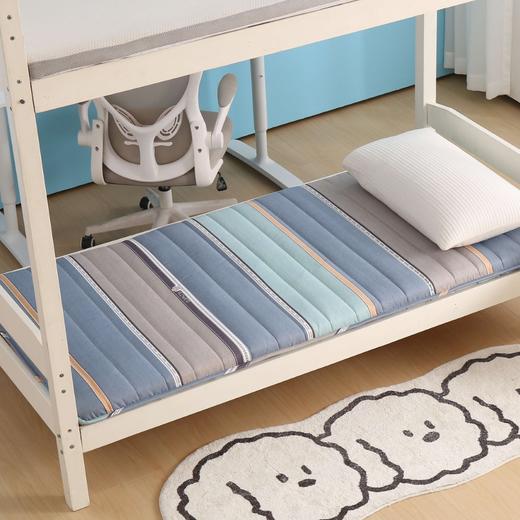 利路米超值款高弹大学生宿舍保暖床垫90*195CM 商品图0