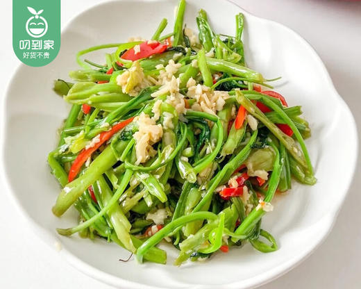 【叼鲜蔬】漳州新鲜青杆空心菜/1份（约300g） 商品图1