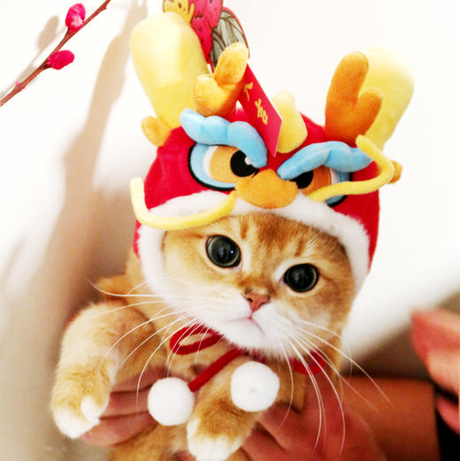 龙年系列好运连连头饰 商品图2