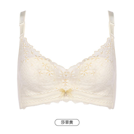 都市丽人聚拢升杯内衣女蕾丝文胸B杯适穿3/4杯超薄款速干常规内衣软钢圈三排扣YB42A6 商品图11