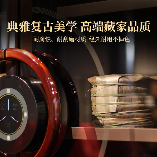 2024年双陈养普柜488L大容量现代化智能调控节能锁温智能生态养普柜藏茶 商品图1