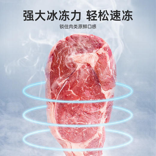 哈士奇复古露营户外车载压缩机制冷冰箱冷冻冷藏拉杆冰箱CC/CD-16-L 16.5L  -薄荷绿 商品图1