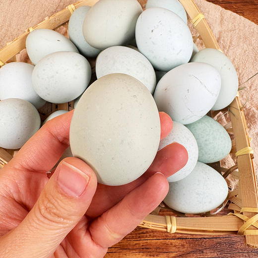 奔牛沈小亚纯散养绿壳鸡蛋45枚 商品图4