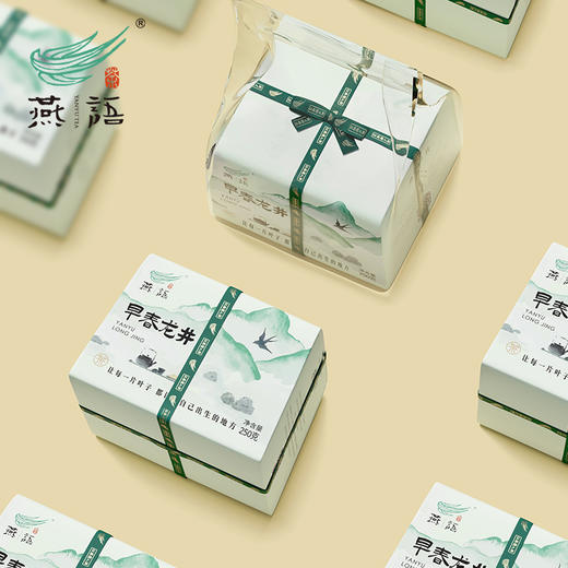 燕语早春龙井250g 商品图4