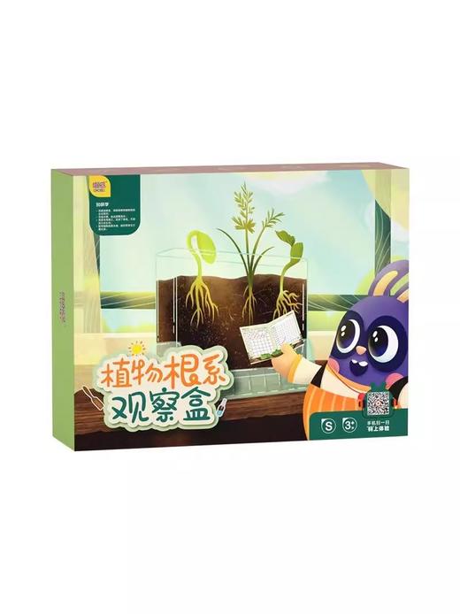 【探索植物成长的奥秘 配6粒种子】GWIZ植物根系透明观察盒种子发芽培育儿童科学实验套装益智玩具 商品图4