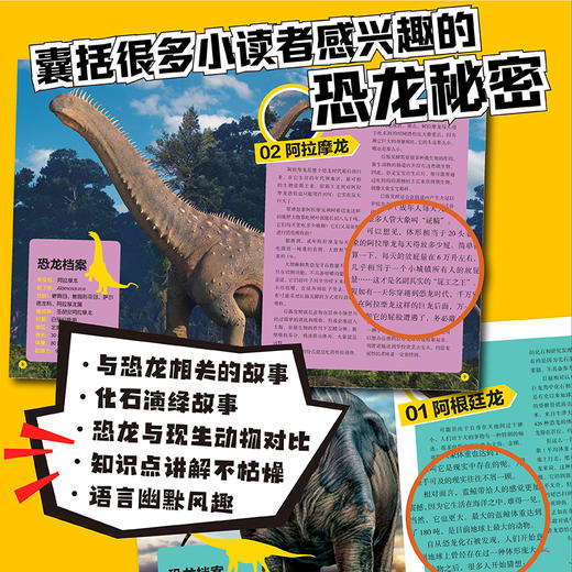 《美国国家地理 恐龙战力榜》| 亲子桌游礼盒（含套装书2册+桌游）/套装书2册 两个规格可选 商品图9