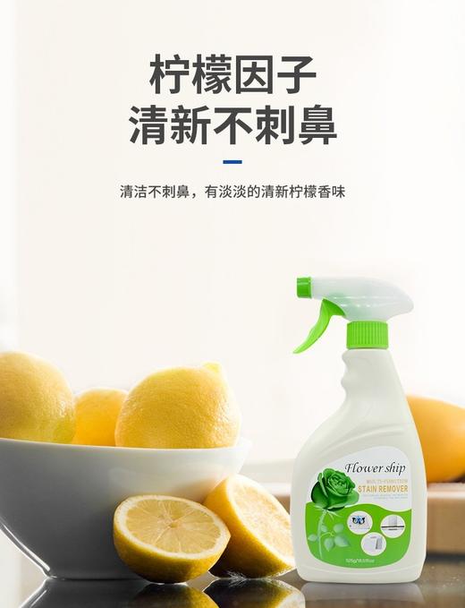 【清洁必备】花卉诗多效油污净3瓶 商品图1