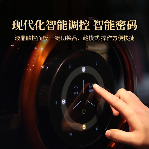 2024年双陈养普柜488L大容量现代化智能调控节能锁温智能生态养普柜藏茶 商品图3