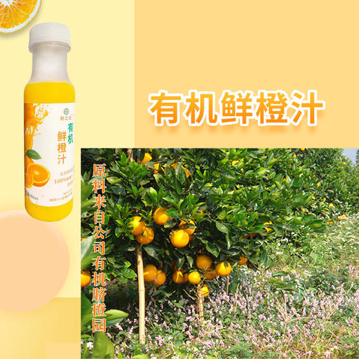 有机鲜橙汁  10瓶×250ml    全国配送（偏远地区除外） 商品图2