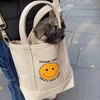 Thank you, Have a nice day 小众两用帆布包 手提单肩斜挎包 商品缩略图0