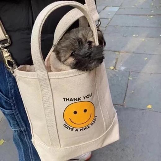 Thank you, Have a nice day 小众两用帆布包 手提单肩斜挎包 商品图0