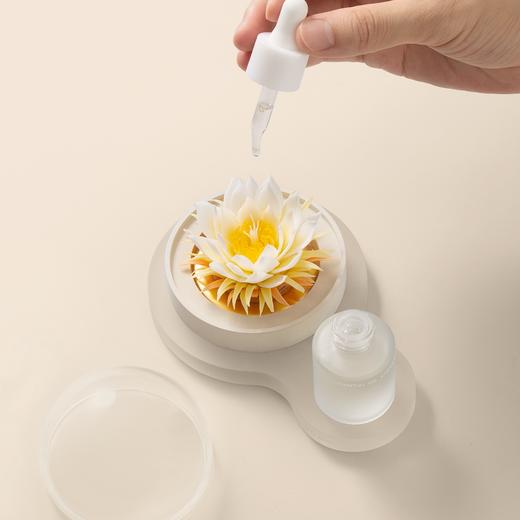 呈白	昙花今夜开非遗瓷花香薰礼盒 商品图5