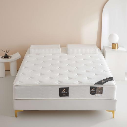 微感蜂巢 乳胶椰棕弹簧床垫 多支撑 高覆盖 商品图1
