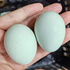 奔牛沈小亚纯散养绿壳鸡蛋45枚 商品缩略图7