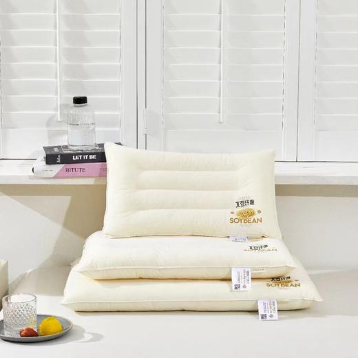 利路米儿童大豆枕 送配套全棉卡通印花枕套 枕套花色随机 商品图2