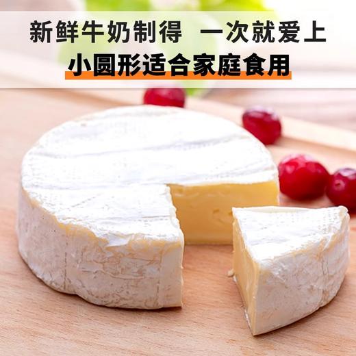 丹麦原装进口琪雷萨必然/金文干酪 软质即食芝士乳酪干酪 125g/盒 商品图9