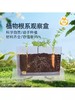 【探索植物成长的奥秘 配6粒种子】GWIZ植物根系透明观察盒种子发芽培育儿童科学实验套装益智玩具 商品缩略图2
