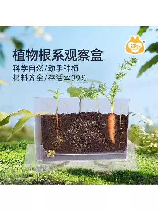 【探索植物成长的奥秘 配6粒种子】GWIZ植物根系透明观察盒种子发芽培育儿童科学实验套装益智玩具 商品图2