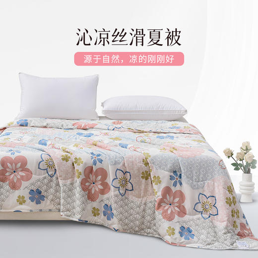 雅芳婷摩登丝夏凉被夏季夏薄被丝滑凉感天丝可机洗夏天高端空调被 商品图0
