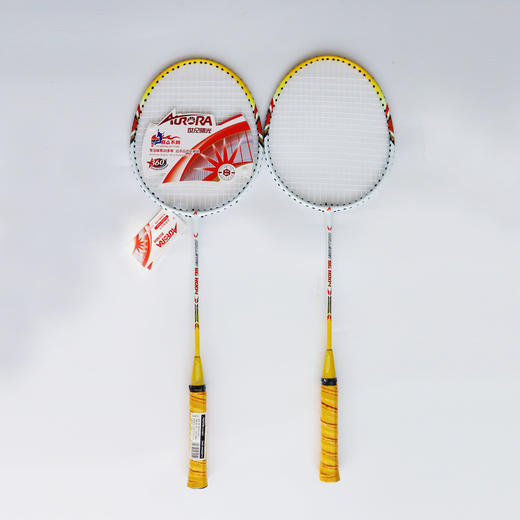 世纪曙光   羽毛球拍 排球体育用品 商品图0