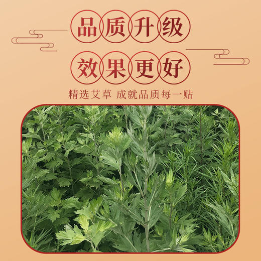 【活动买3送3-买5送5】古I方I艾I灸，热 热 贴，热 温 灸，关I节，热灸 商品图3