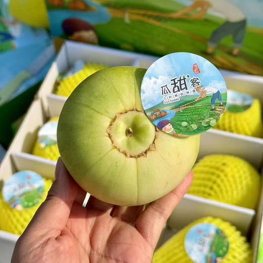 马连庄甜瓜 商品图2