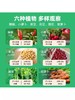 【探索植物成长的奥秘 配6粒种子】GWIZ植物根系透明观察盒种子发芽培育儿童科学实验套装益智玩具 商品缩略图1