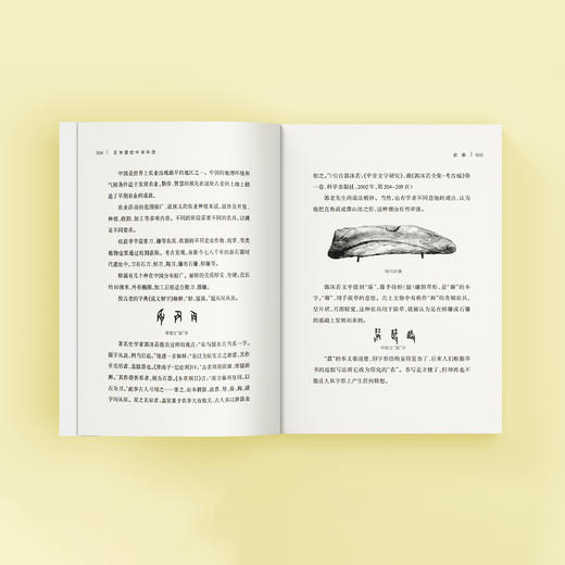 《汉字里的中华科技》+《成语里的中华科技》共2册 商品图5