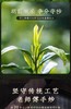 明前龙井茶2024新茶特级绿茶250g 商品缩略图4