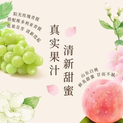 统一阿萨姆奶茶白桃观音 商品图2