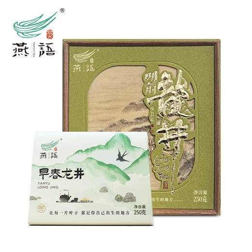燕语早春龙井250g 商品图1