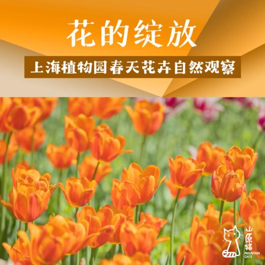 「4月25日 周六下午」花的绽放·上海植物园春天花卉自然观察 商品图0