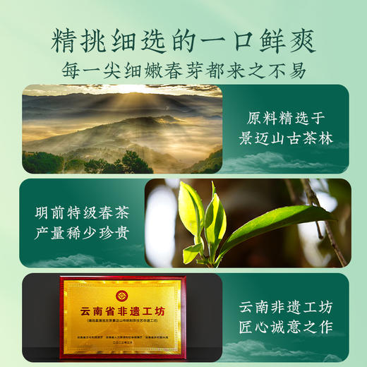 澜沧古茶2024年景迈春蕊景迈山明前特级春散茶普洱茶生茶60g（3g*20包） 商品图2