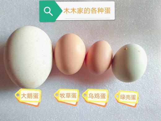 活动预约～木木家农场 商品图6