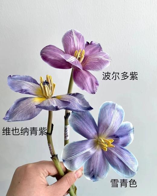 【琳琅】可利美专业鲜花吸色剂（只能快递发出） 商品图1
