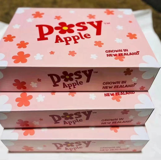 新西兰POSY小花苹果 商品图3