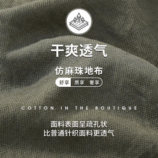 Threegun三枪 【麻感珠地】男士休闲短裤-50645B011 商品图13