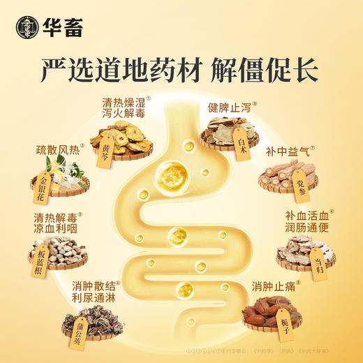 【10袋起】华畜解僵灵易消化不拉稀增强抵抗力 商品图1