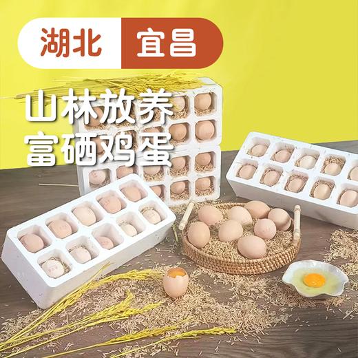 【荆楚印象】富硒谷物虫草鲜鸡蛋±50g*50枚/箱 商品图0