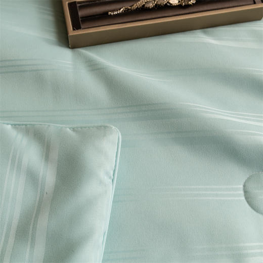 夏季雅致提花桑蚕丝被，轻盈透气，柔软舒适，让你美美哒入眠。 商品图4
