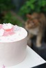 樱花&信物蛋糕||花宴中的“迷物” 商品缩略图1