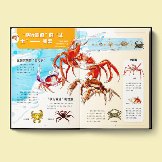 《漫画万物》（全8册） 商品图4